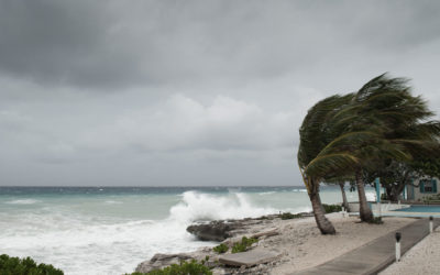 Momentum Solutions Actively Positioned In Bahamas For Hurricane Dorian